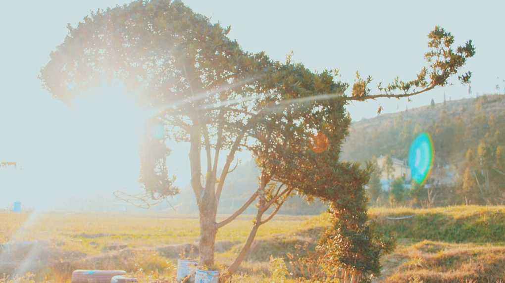 482609998.jpg timg (2).jpg