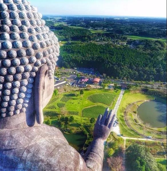 1411224891.jpg 微信图片_20180614113519.jpg