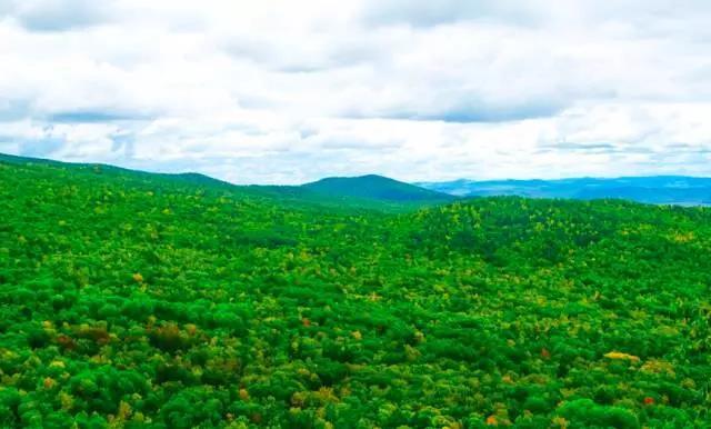 852940809.jpg 微信图片_20180614112748.jpg