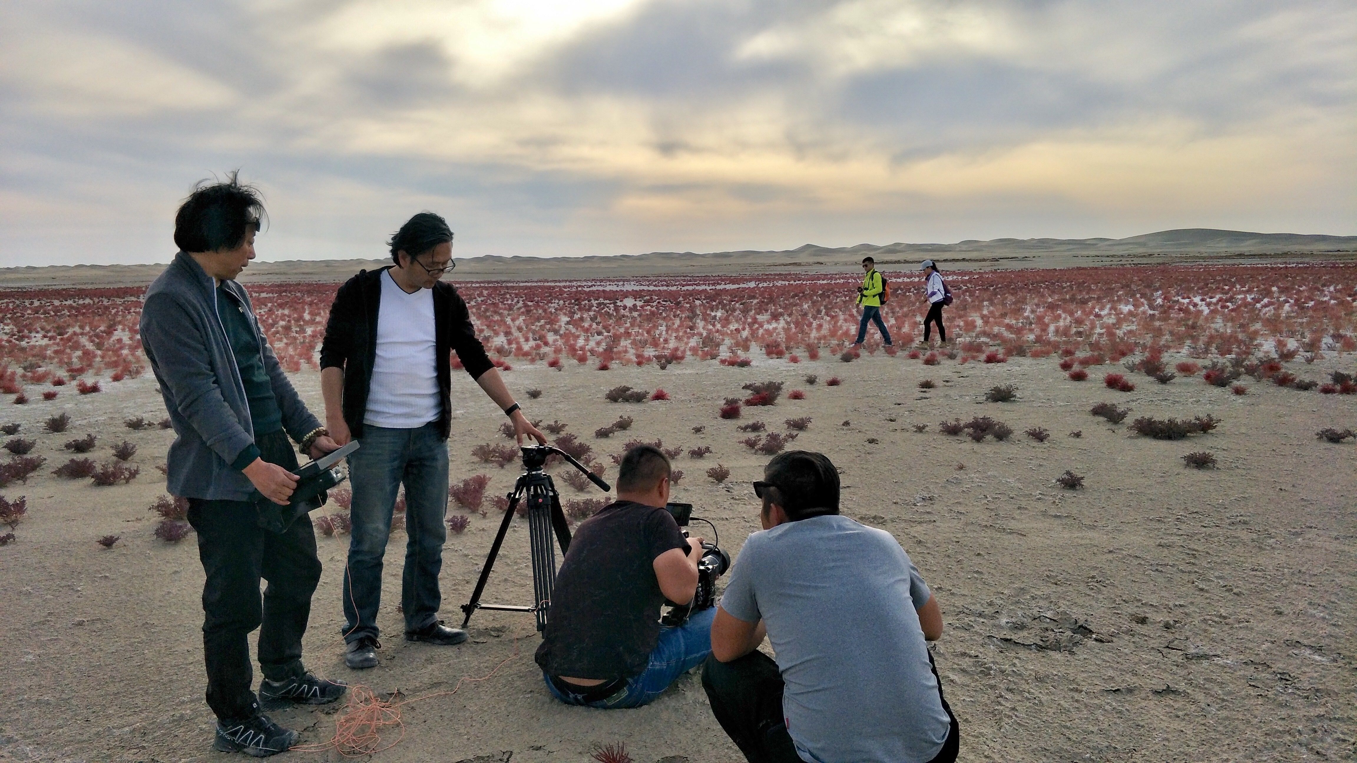 176629905.jpg 2018-10-13-163554.jpg