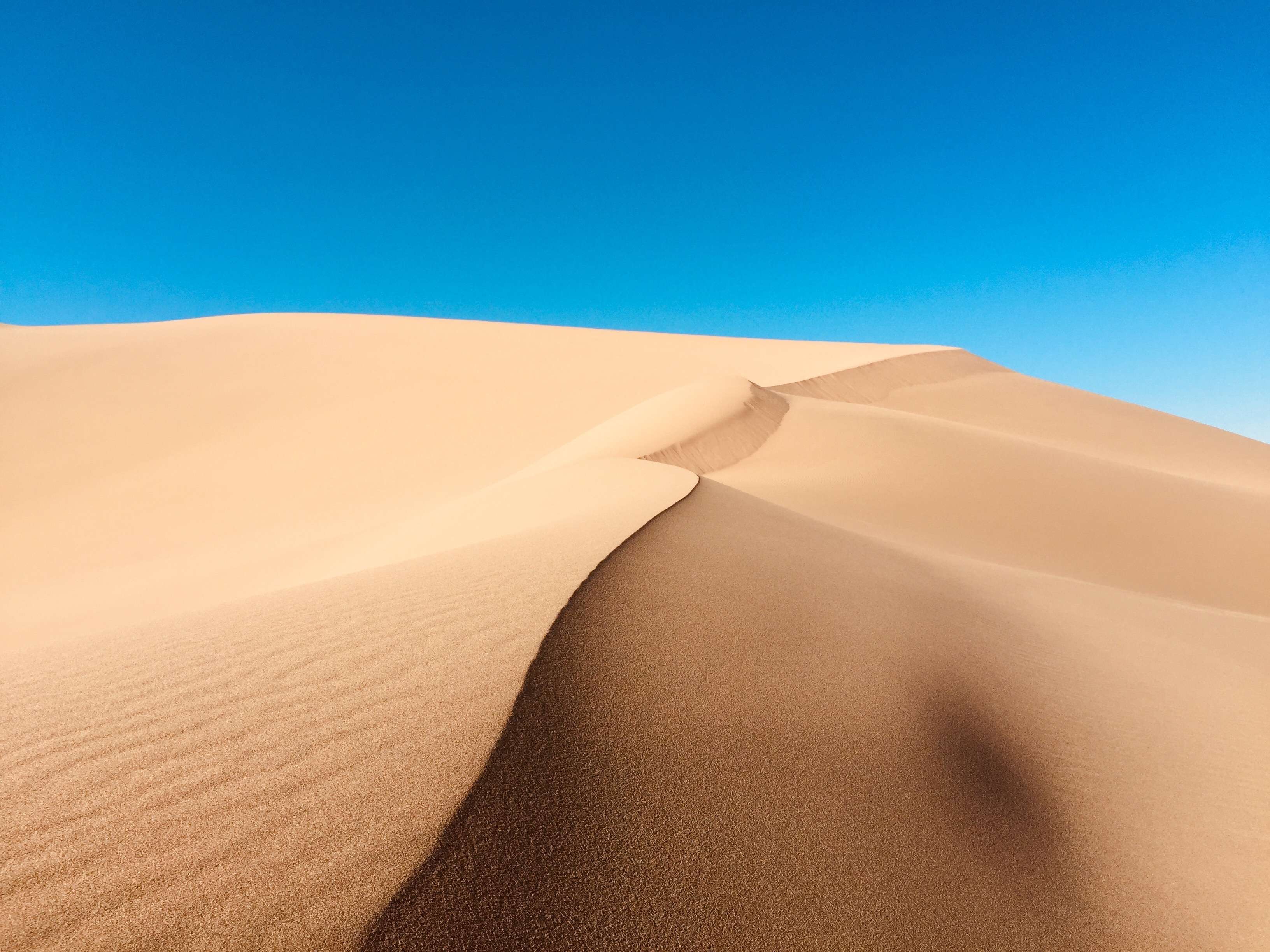 397397937.jpg 2018-10-12-101902.jpg