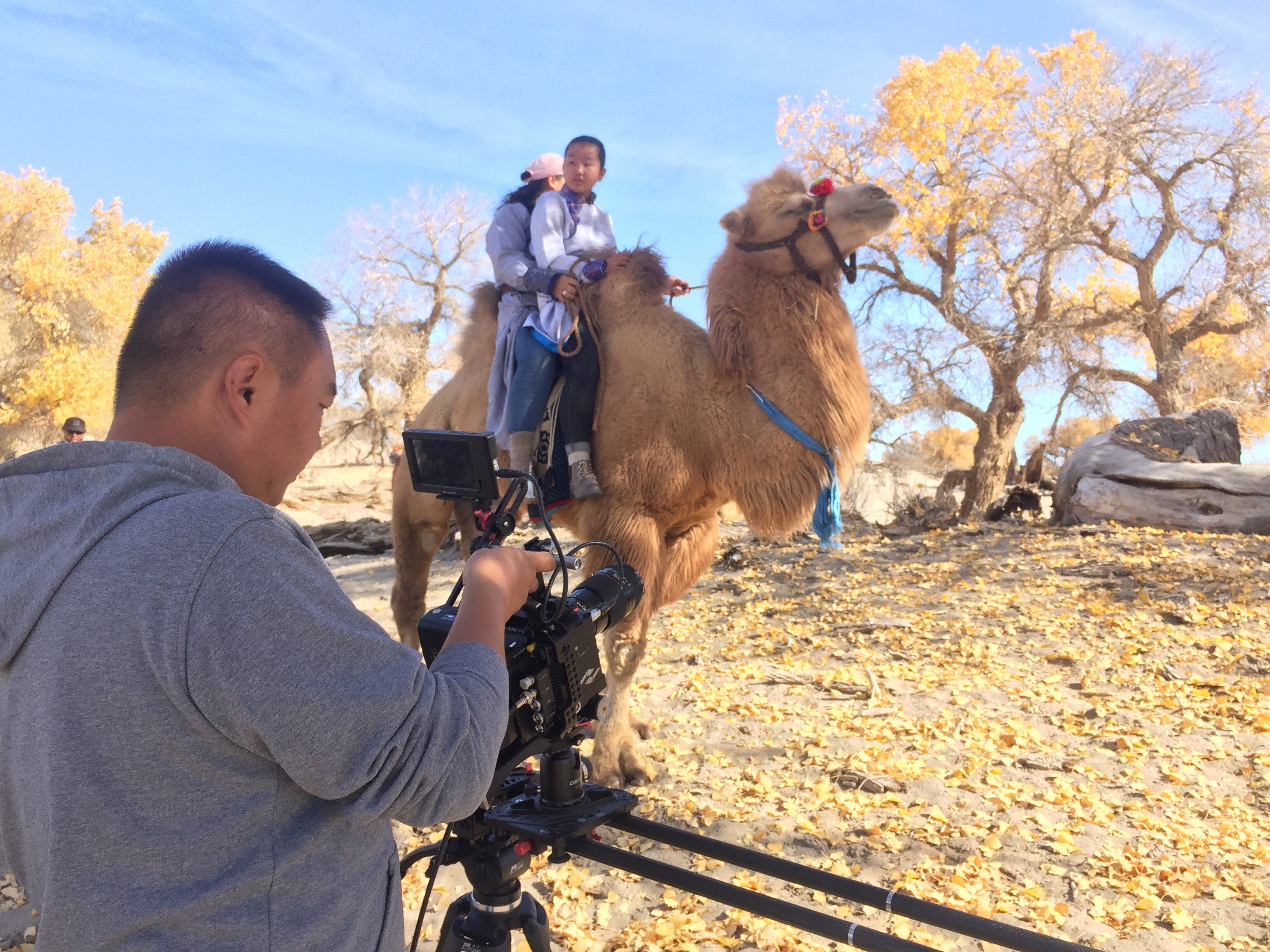 791578850.jpg 2018-10-13-114033.jpg