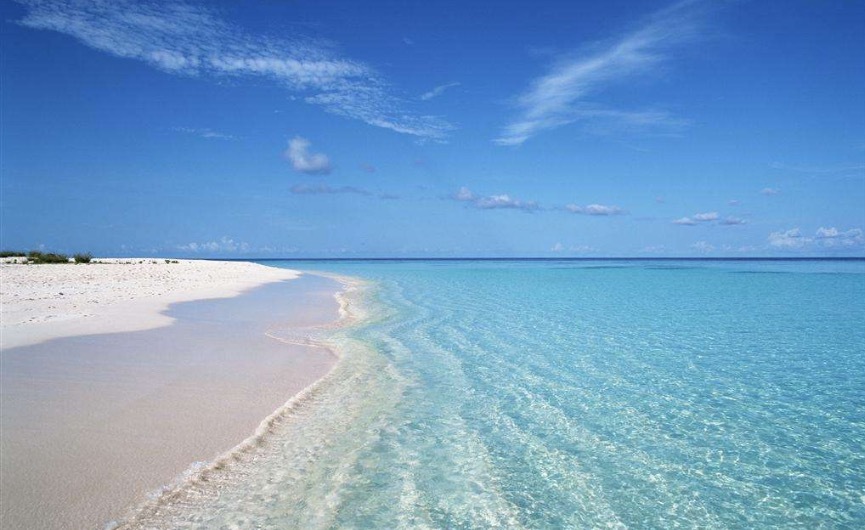 287889211.jpeg 01.jpeg