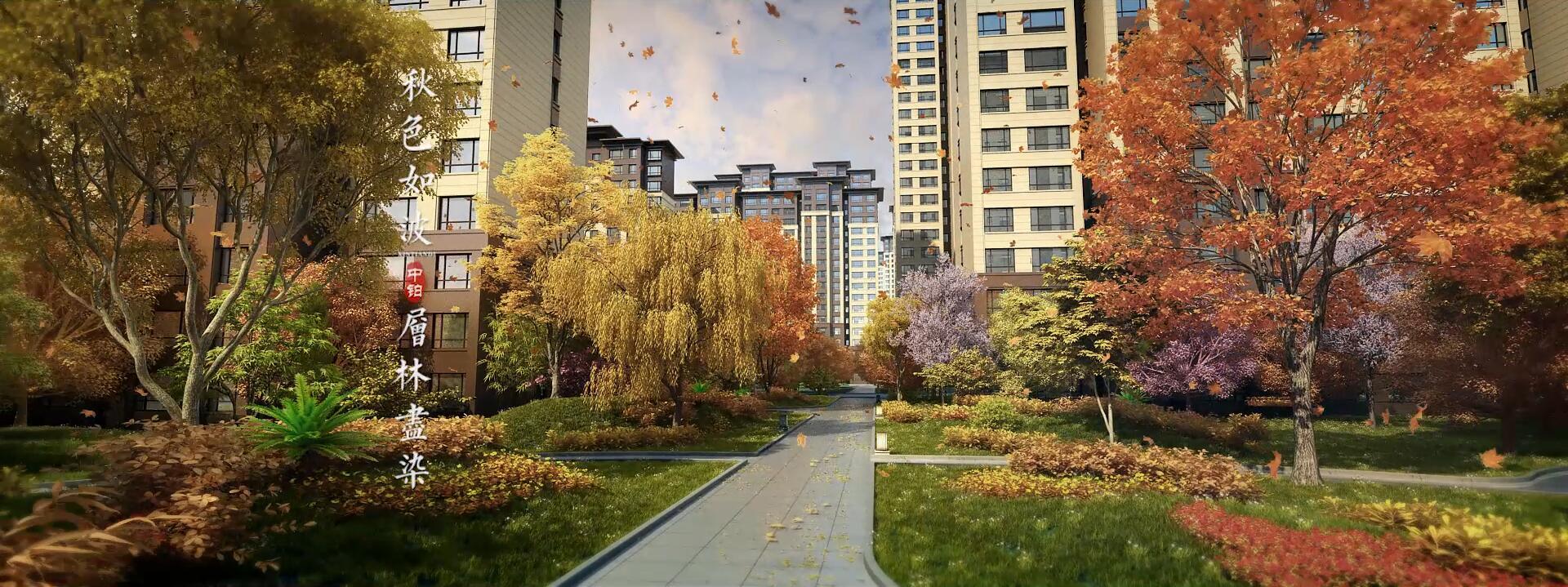 1017312863.jpg QQ截图20190910203847.jpg