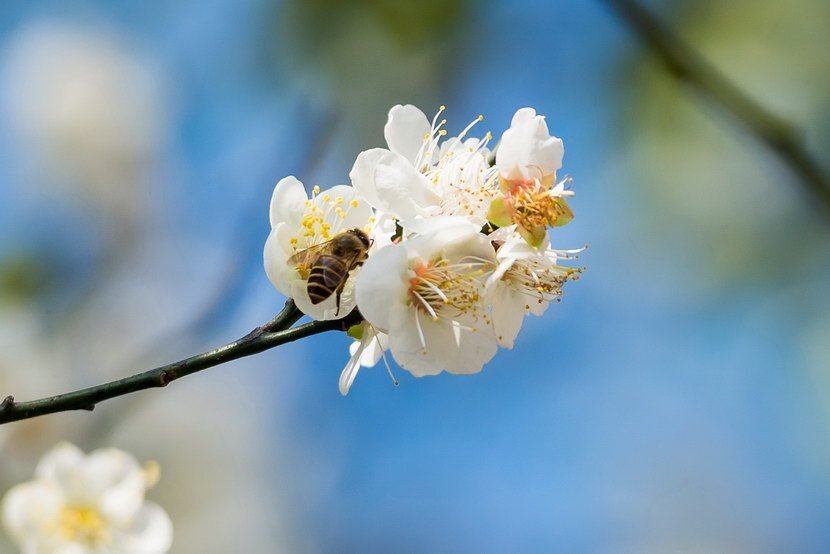 1079062402.jpg 3.jpg