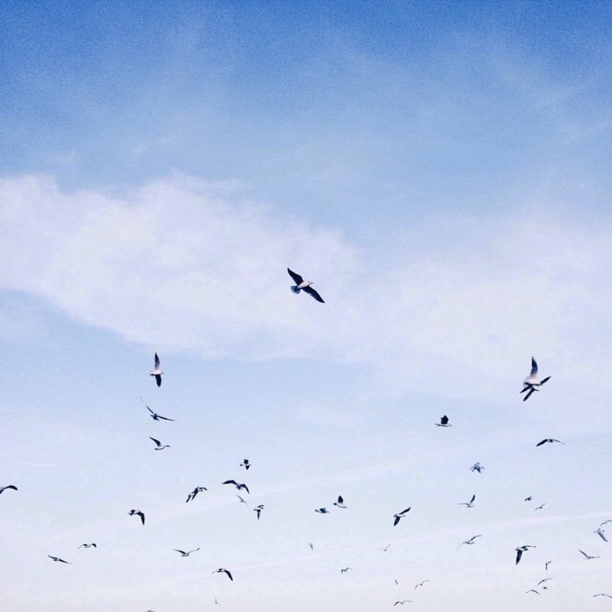 130329636.jpg 130329636.jpg