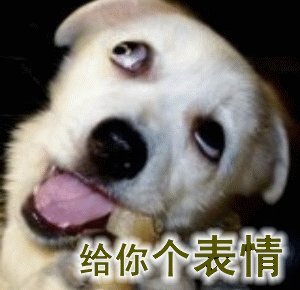 782436042.jpg u=777967909,649325056&fm=26&gp=0.jpg