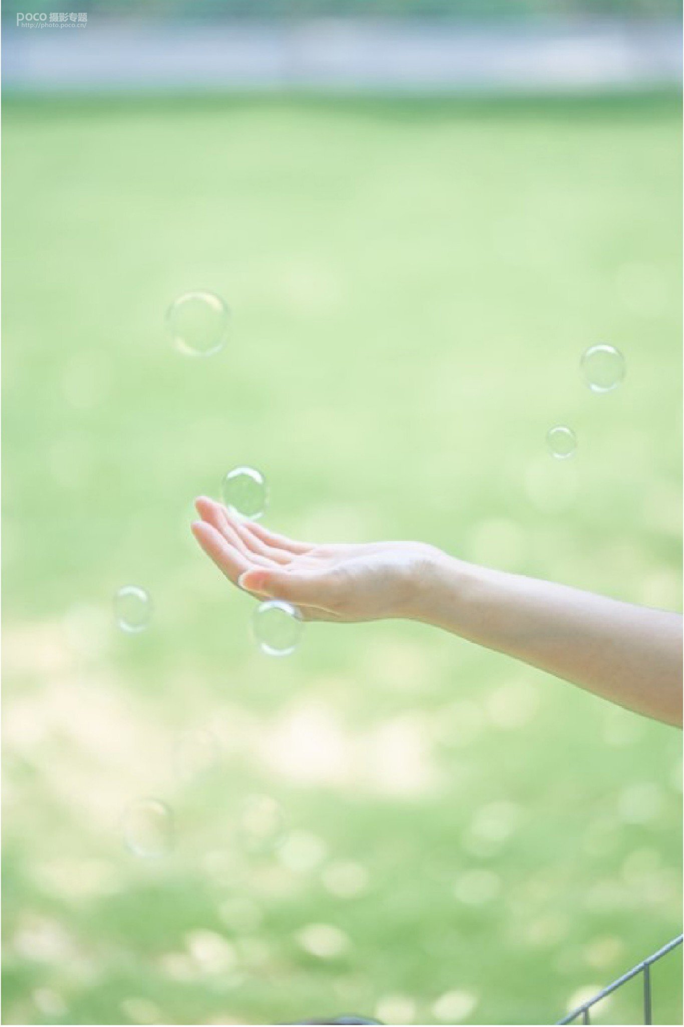 清新类静物摄影的前后期系统教学