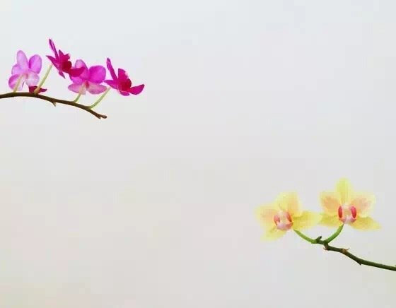 10个简单技巧就能拍出高逼格 10个简单技巧就能拍出高逼格