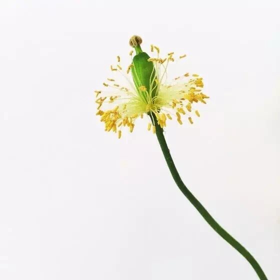 10个简单技巧就能拍出高逼格 10个简单技巧就能拍出高逼格