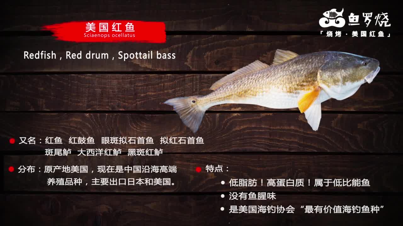 鱼罗烧-美国红鱼-产品宣传片