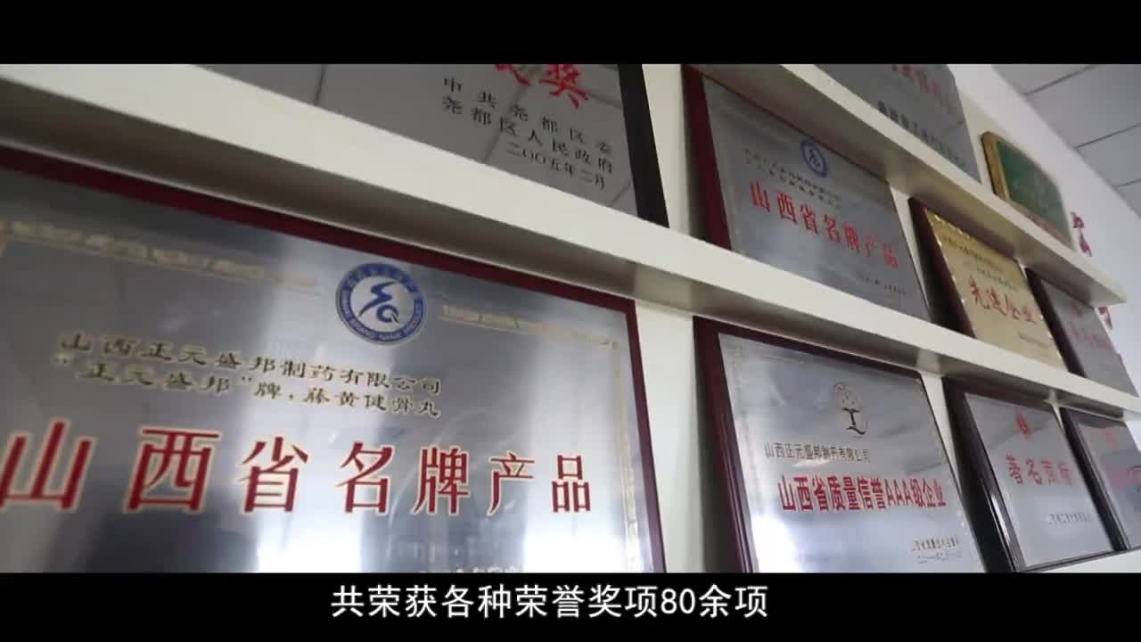 北京正元盛邦集团宣传片