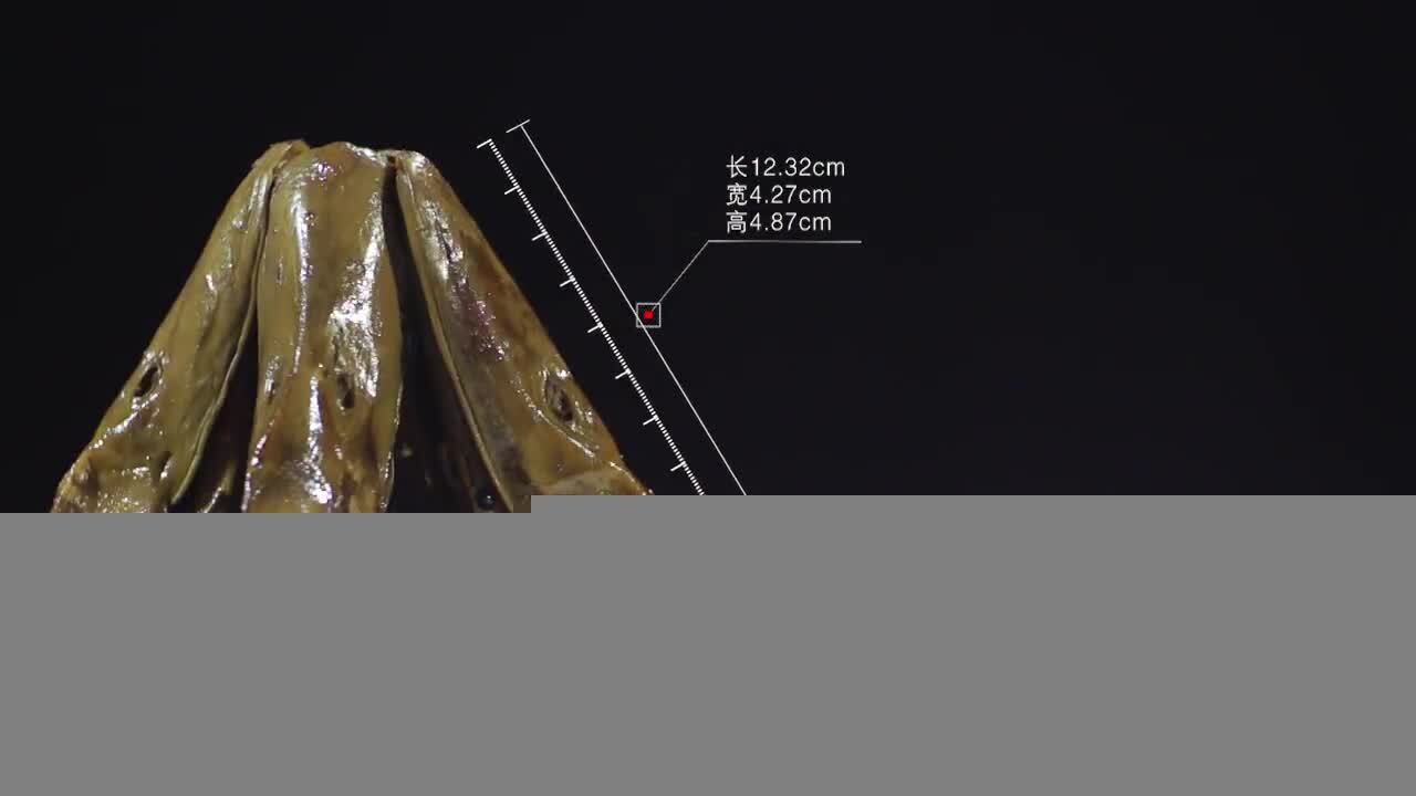 味瑟鸭头灵魂广告宣传片