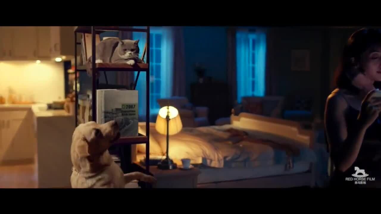 斐讯路由器广告片《强到没有墙》