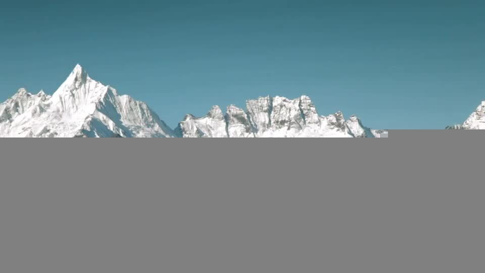 OPPO手机品牌宣传片- 猫力篇