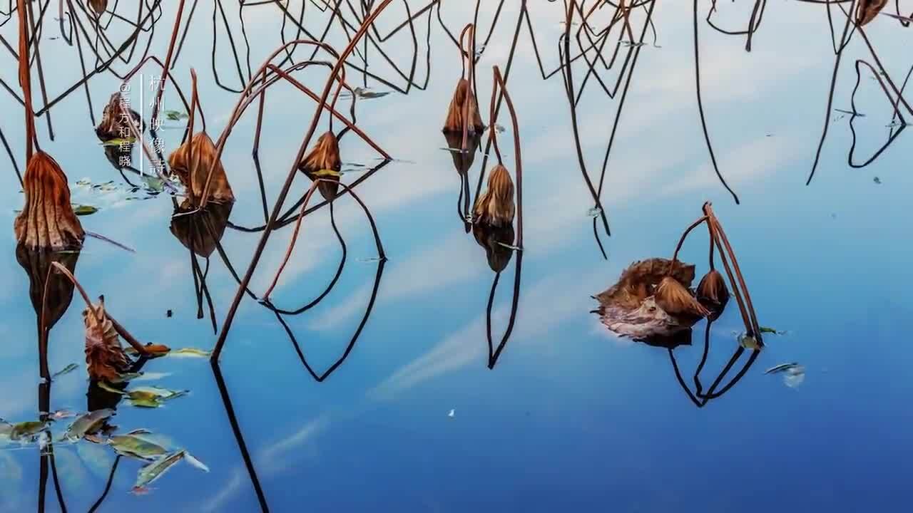 杭州美景延时拍摄《 杭州映像诗》