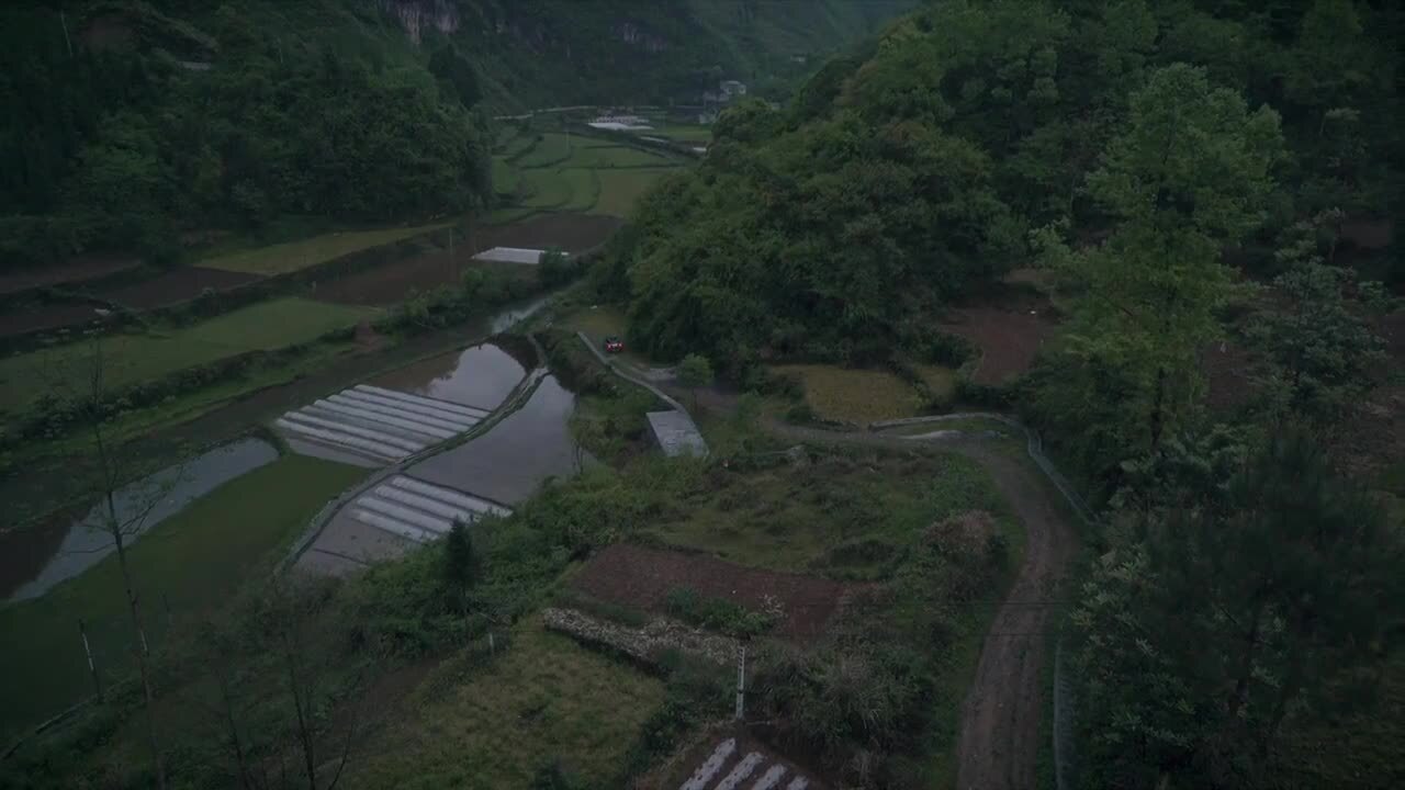 户外野餐纪录片《春雨中的虾仔炒蛋》