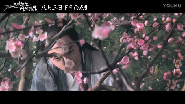  玄幻大电影  宣传片 《三生三世十里桃花》预告片