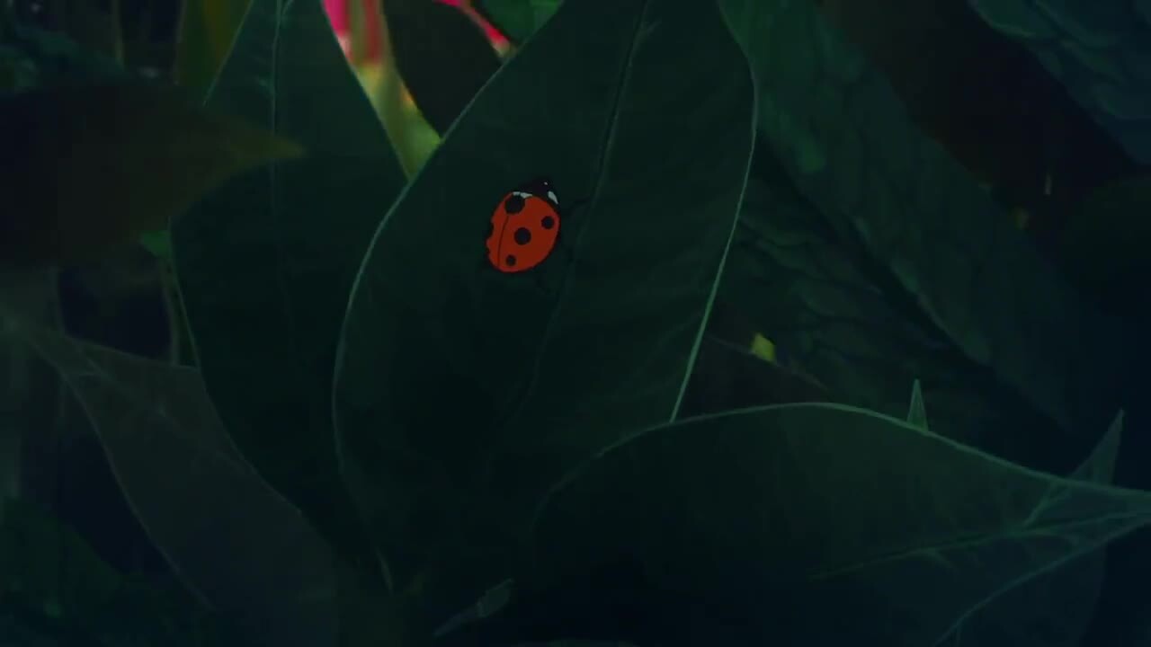 俄勒冈州旅游CG宣传片,画风堪比宫崎骏