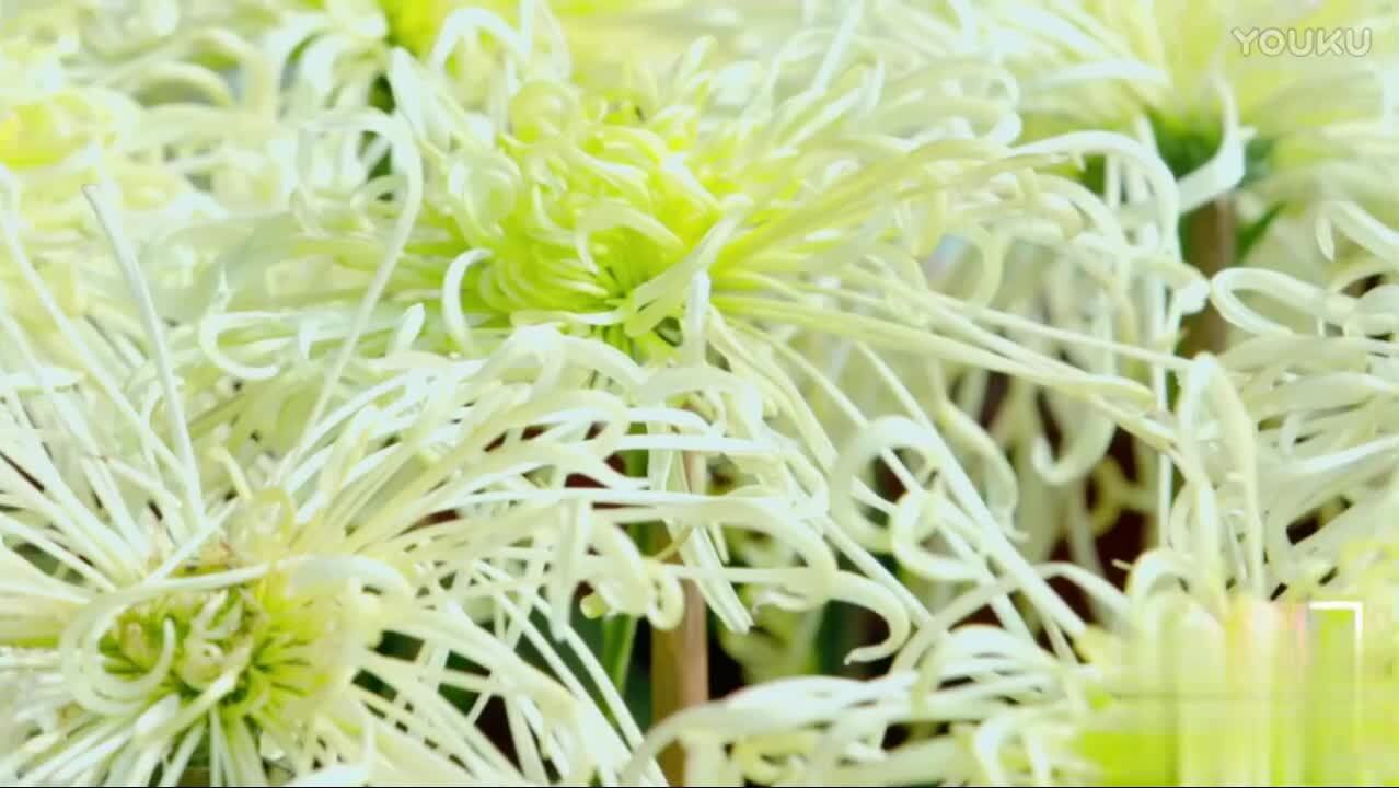 开封国家园林城市宣传片 谢猛配音 梵曲配音推荐