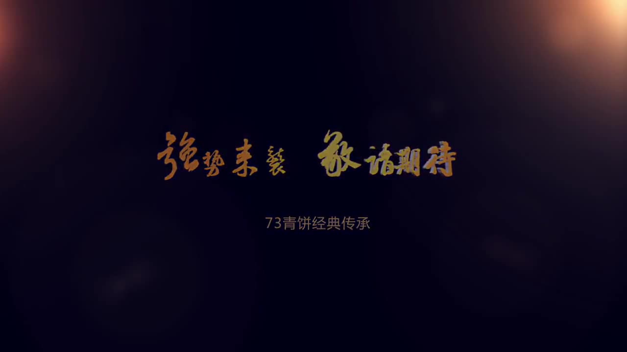 云南中茶“73青饼”全国品鉴会动画广告片