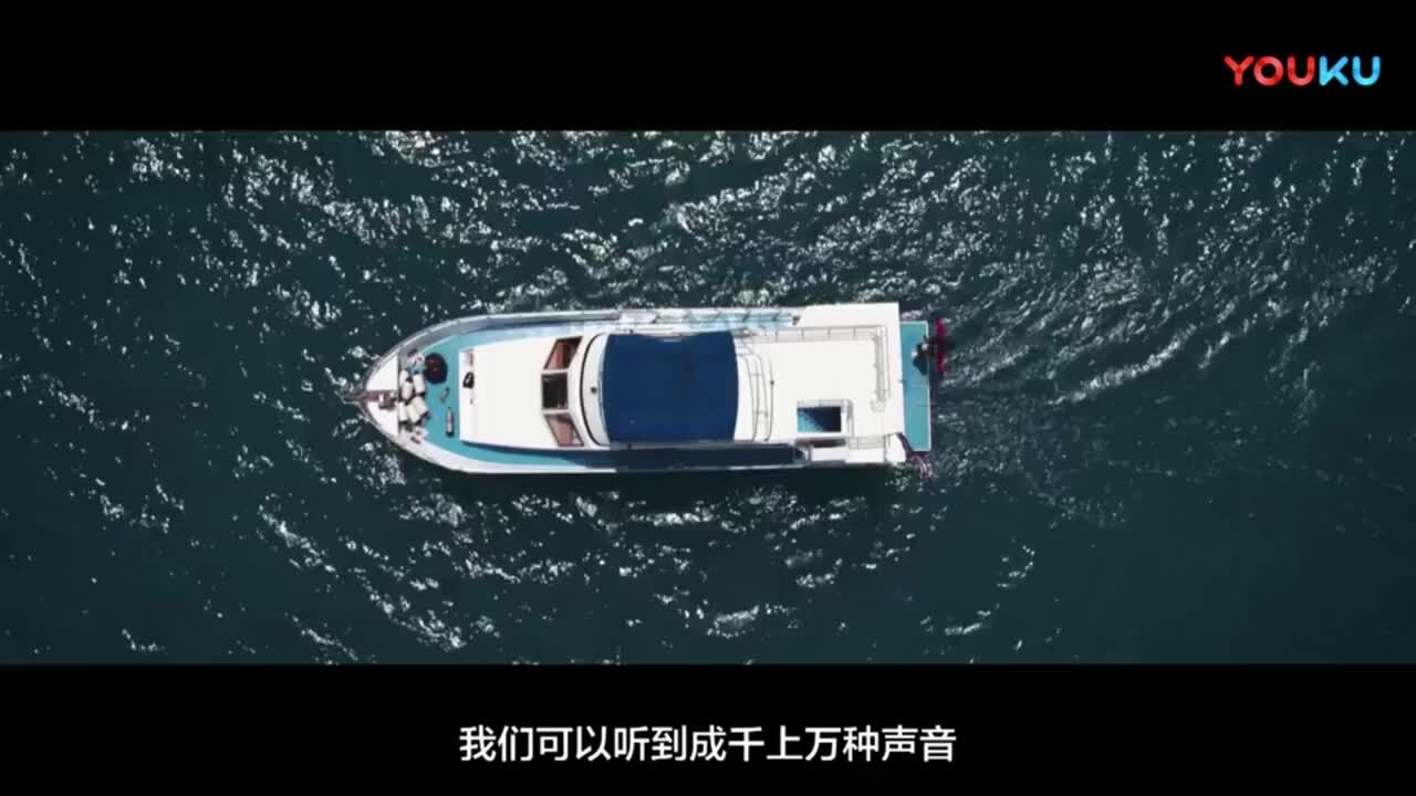 土耳其航空广告《五种感官》