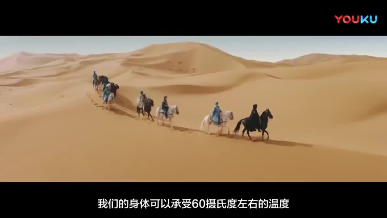 土耳其航空广告《五种感官》